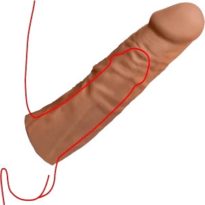 C Extension Penis Sleeve